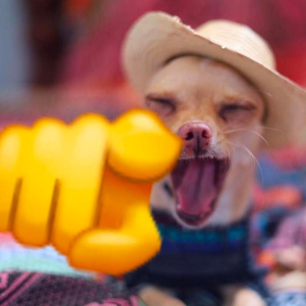 Pack of 6 Cowboy Mexican Sombrero Mini Hats